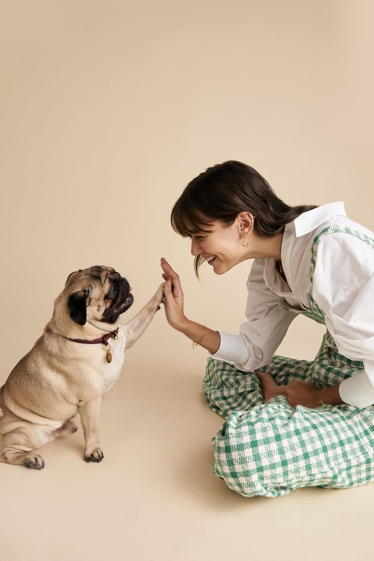 Woman and pug high five